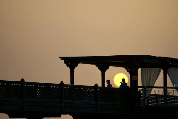 Comment organiser une visite des vignobles en Afrique du Sud?
