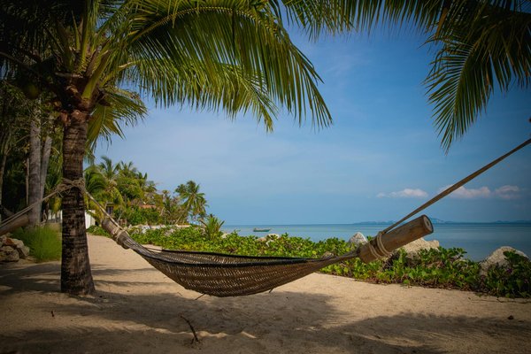 Quels sont les meilleurs itinéraires pour une randonnée en raquettes dans les montagnes de Tromsø, Norvège?